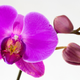 Image for article titled The Best Mother's Day Gift Is Not A Thing